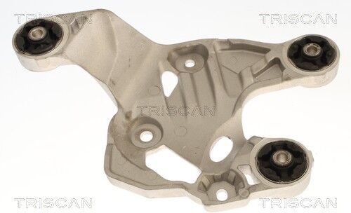 Triscan Lagerung, Motor 8505 81107 Für Tesla
