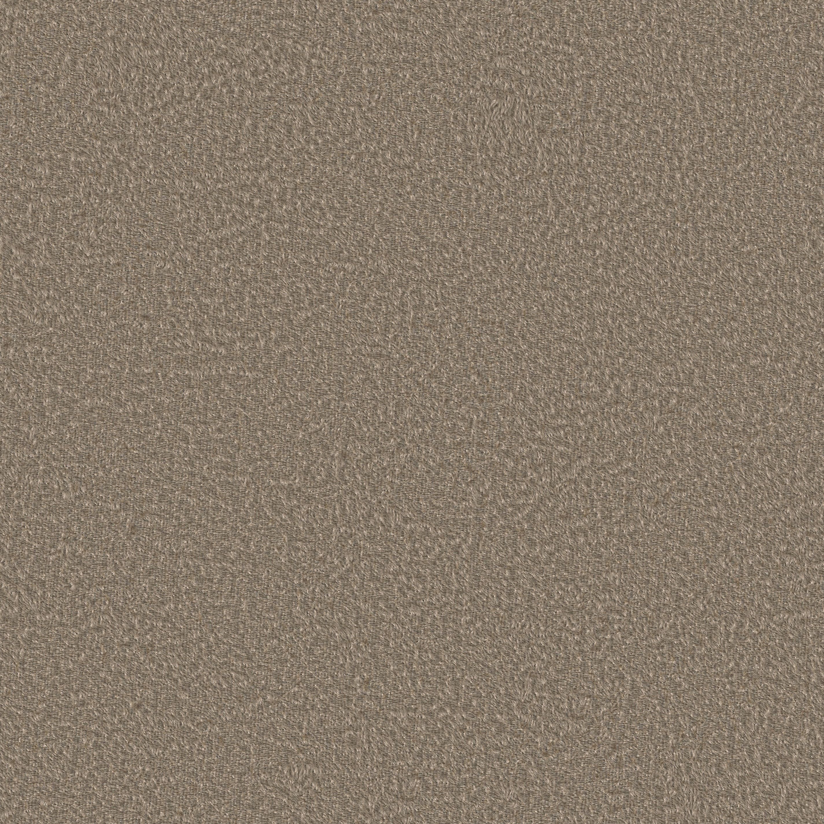 Neutex For You! Vorhang NEUTEX FOR YOU "LUXURY", beige (dunkelbeige), B:141cm H:245cm, Polyester, Gardinen, Vorhang, Samtoptik mit edlem Glanz dunkelbeige 245cm, Multifunktionsband, 141cm