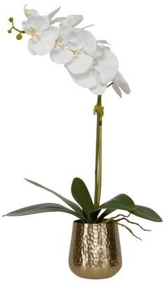 Uttermost Cami Orchid With Brass Pot - 24 x 14 x 8
