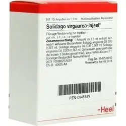 SOLIDAGO VIRGAUREA INJEEL Ampullen 10 St