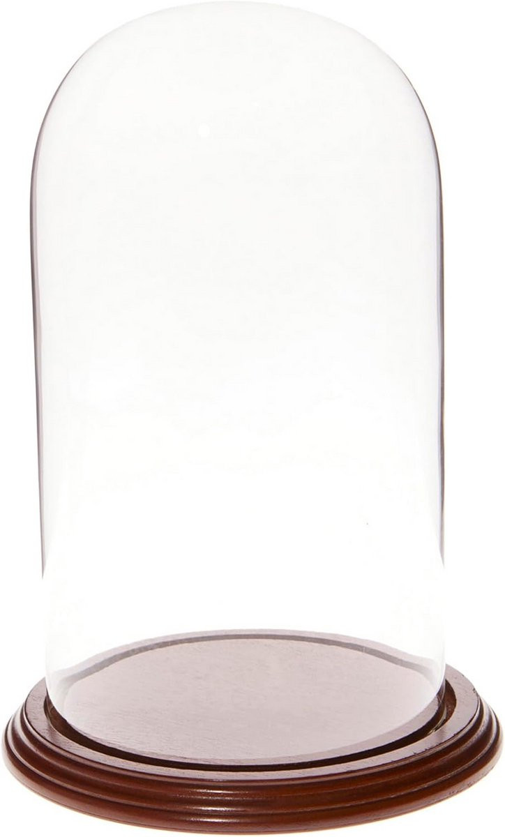 Glazen Display Koepel Cloche met Houten Basis voor Decoratie en Vitrine