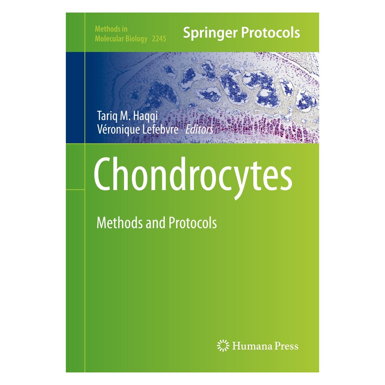 Springer Chondrocytes (Englisch, Hardcover, Tariq M. Haqqi, Véronique Lefebvre) (9781071611180)