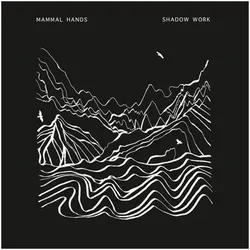 Gondwana Reco, Schallplatten, Shadow Work (Mammal Hands)