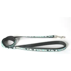 Image Bowxy (Hund, Allgemein, Spazieren), Halsband + Leine