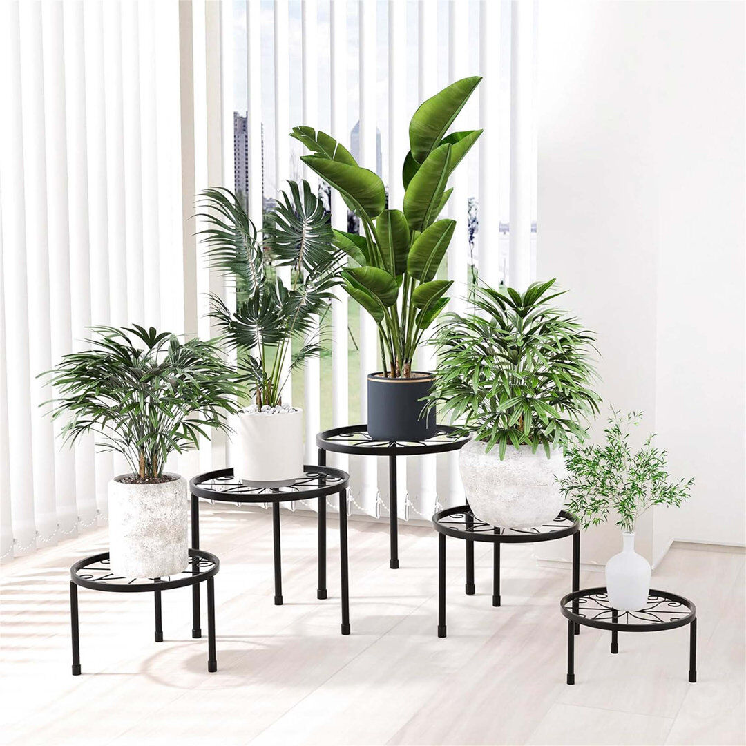 Lark Manor Iron Plant Stand 1 Tier Set of 5 Black 30cm H X 29cm L X 29cm D