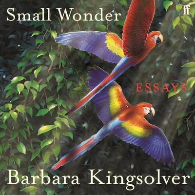 Small Wonder - Barbara Kingsolver, Audio, 9780571396900