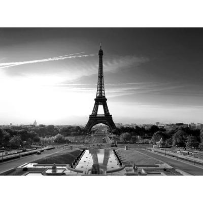 Fototapete PAPERMOON "Paris Eiffelturm Schwarz & Weiß", schwarz (schwarz, weiß), B:2,5m L:1,86m, Vlies, Tapeten