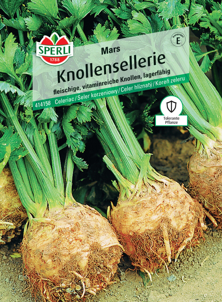 Sperli Knollensellerie Mars