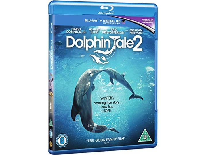 Dolphin Tale 2