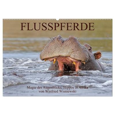 Flusspferde Magie des Augenblicks - Hippos in Afrika (Wandkalender 2027 DIN A2 quer), CALVENDO Monatskalender