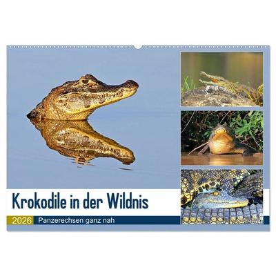 Krokodile in der Wildnis (Wandkalender 2026 DIN A2 quer), CALVENDO Monatskalender