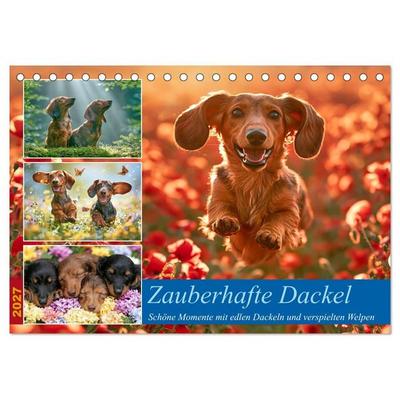 Zauberhafte Dackel (Tischkalender 2027 DIN A5 quer), CALVENDO Monatskalender