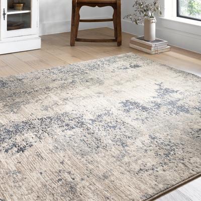 Alexander Home Josefina Distressed Abstract Contemporary Rug