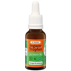 INGWERTROPFEN+Vitamin B12 Dr.Muches 20 ml