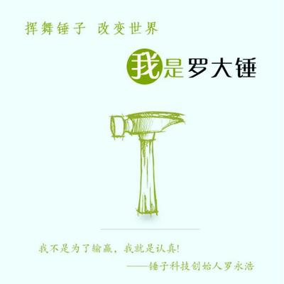 挥舞锤子，改变世界：我是罗大锤 - 武帅, Audio, 4069828018341