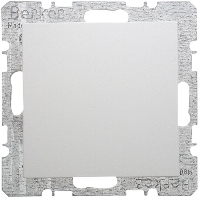 Berker Cache-prise pws/gl avec pièce centrale 6710098989 (6710098989)