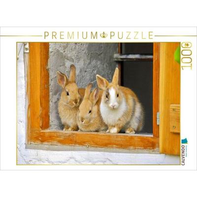 CALVENDO Puzzle Drei Kaninchen am offenen Stallfenster | 1000 Teile Lege-Größe 64x48cm Foto-Puzzle für glückliche Stunden, Sonstige von , Calvendo