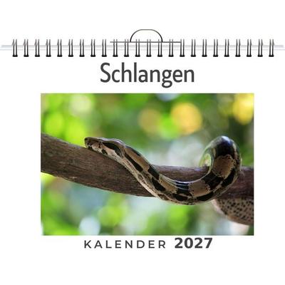 Schlangen