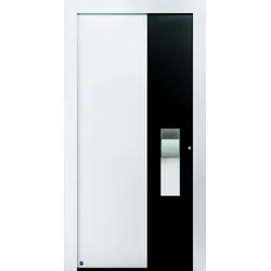 Hörmann ThermoCarbon Haustür Motiv 305