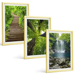 BILDER SET 3er Set - 40x60 cm Goldrahmen - Pfad Wald Wasserfall Vegetation