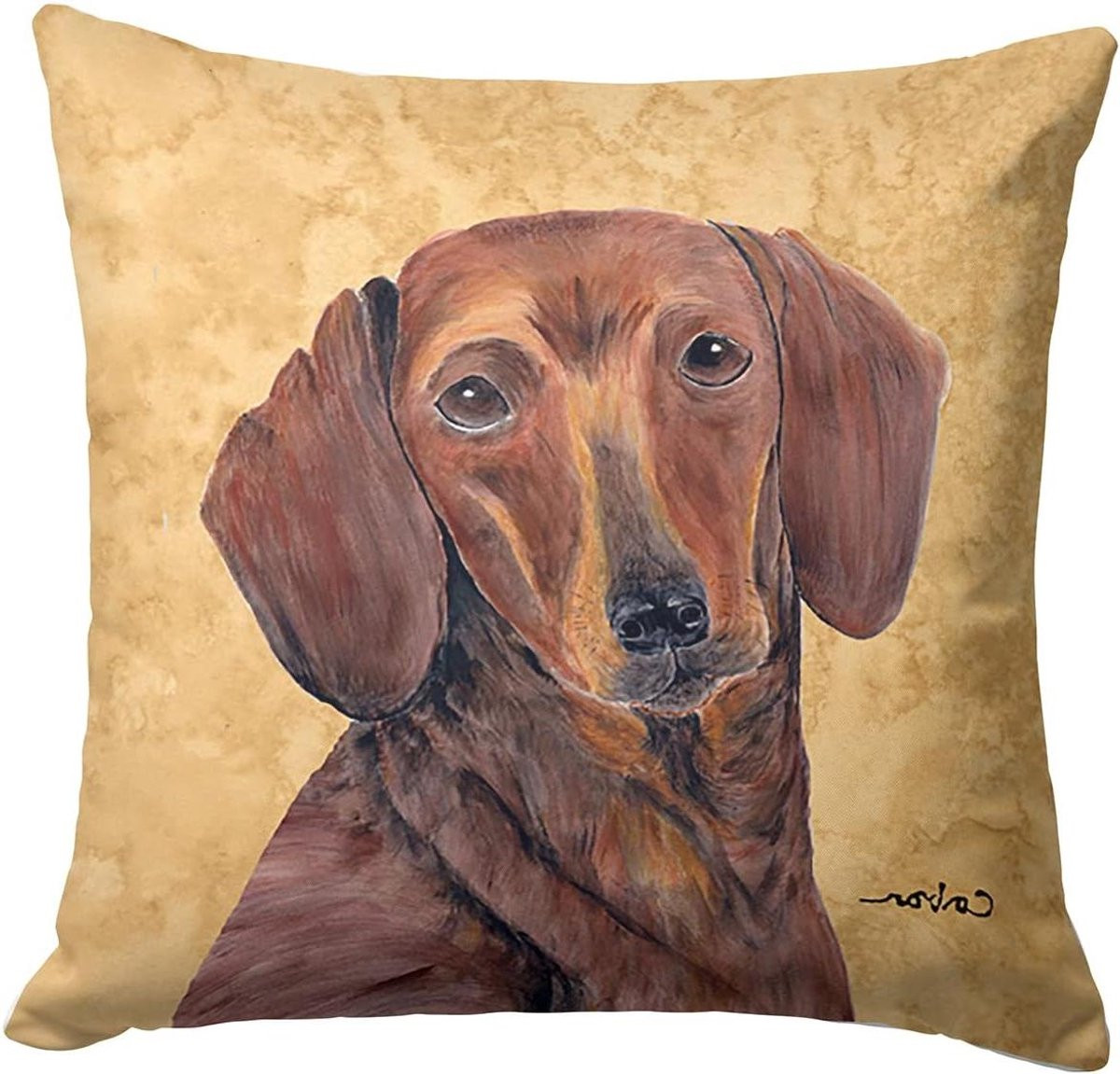 Wasbaar decoratief kussen met kussenhoes voor woonkamer decoratie, 35 x 35 cm, meerdere kleuren