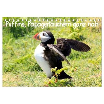 Puffins, Papageitauchern ganz nah (Tischkalender 2027 DIN A5 quer), CALVENDO Monatskalender
