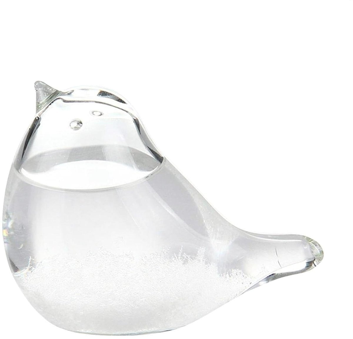 Stormglas Weersvoorspeller met vogelvorm design, decoratieve barometer, Transparant, B/D/H: 8 x 5 x 4 cm