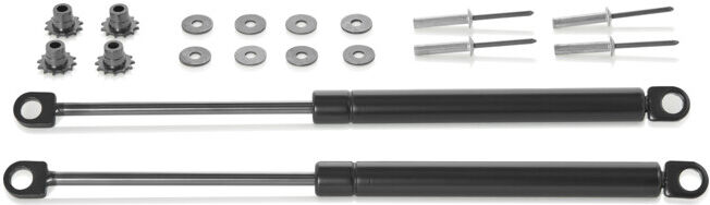 KNIPEX Ressorts à gaz de rechange 00 21 99 V33 pour 00 21 37 (2x) (00 21 99 V33)