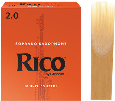 DAddario Woodwinds Rico Soprano Saxophone 2.0