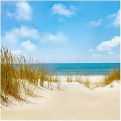FOTOTAPETE Strand an der Nordsee 288/288 cm