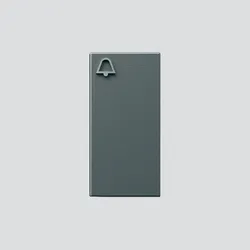 Siedle&amp;Söhne Klingeltaste dgr-Glim 200029939-00