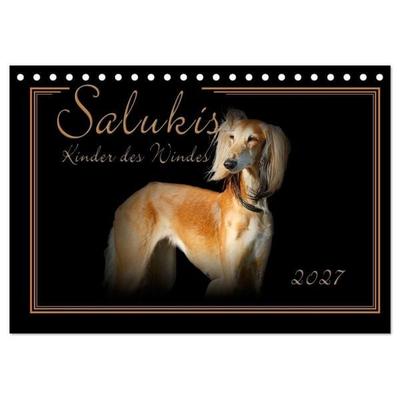 Salukis - Kinder des Windes (Tischkalender 2027 DIN A5 quer), CALVENDO Monatskalender
