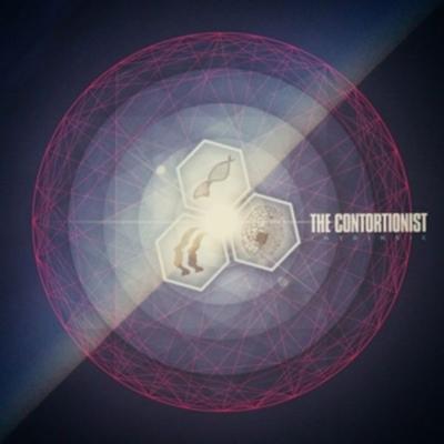 Intrinsic - The Contortionist, Vinyl