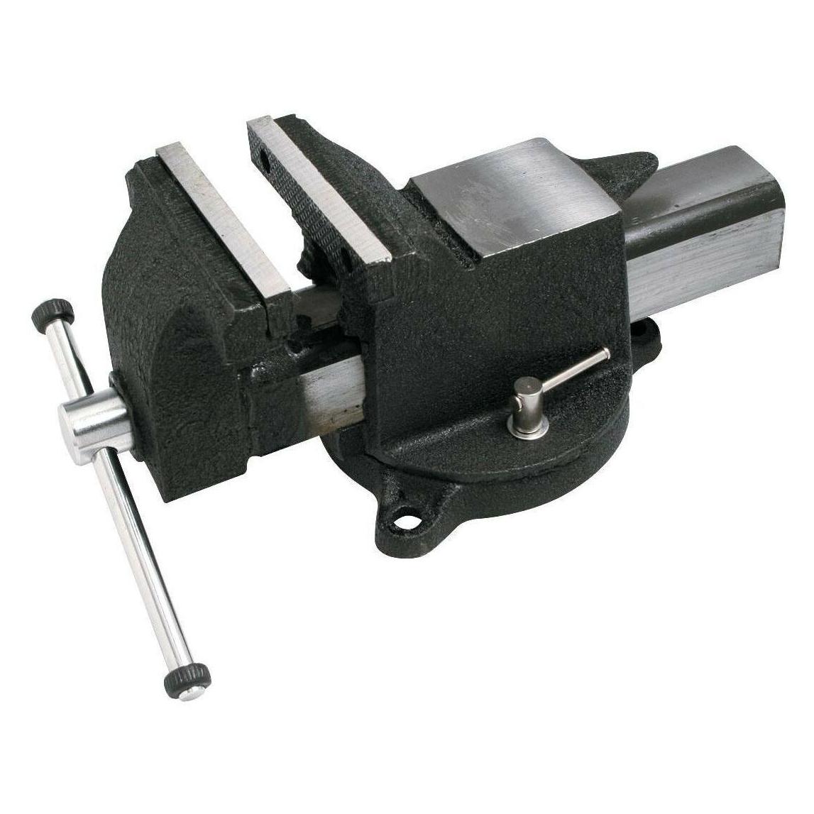 Kraftwerk Stahl-Schraubstock (120 mm) (2961)