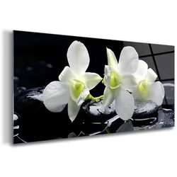 GLASBILD 100x50 cm Orchideenblüte