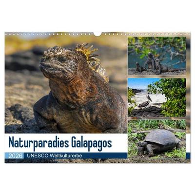 Naturparadies Galapagos - UNESCO Weltkulturerbe (Wandkalender 2026 DIN A3 quer), CALVENDO Monatskalender