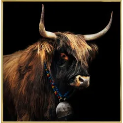 La Casa »bull with golden decor« Wandbild 100x100 cm