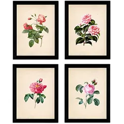 POSTER Set mit 4 Botanische Papier Hintergrund Rosa Blumen A3 Rahmenlos