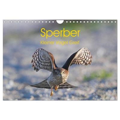 Sperber - Kleiner Vogel Greif (Wandkalender 2026 DIN A4 quer), CALVENDO Monatskalender