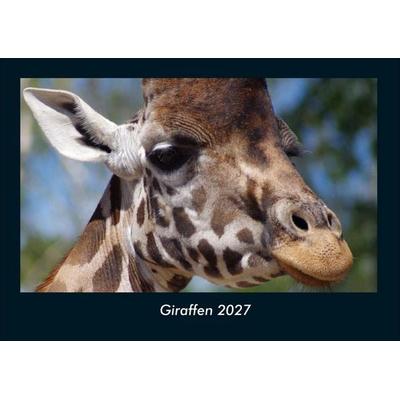 Giraffen 2027 Fotokalender DIN A4