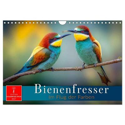 Bienenfresser - im Flug der Farben (Wandkalender 2027 DIN A4 quer), CALVENDO Monatskalender