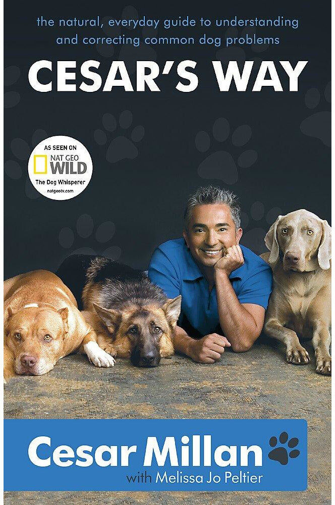 Hodder Paperbacks Cesars Way by Cesar Millan The Natural, Everyday Guide to Understanding and Correcting Common Dog