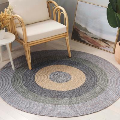 SAFAVIEH Handmade Braided Ecenur Country Rug