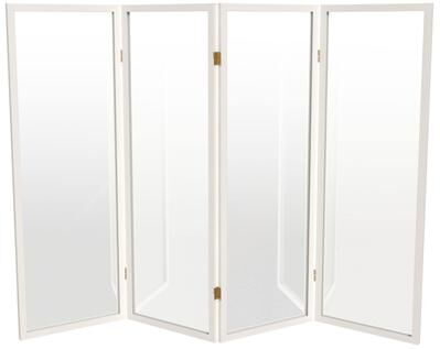 Red Lantern 4 ft. Short Clear Plastic Partition