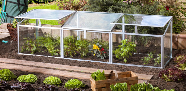Vitavia Vroegbouwkas Gaia 3X ESG