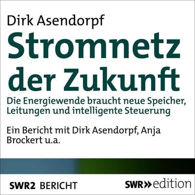 Stromnetz der Zukunft - Dirk Asendorpf, Audio, 9783956156762