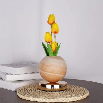 Uplifted Finds Tulip LED Floral Night Light USB Rechargeable Bedside Table Lamp For Bedroom Christmas Decor orange Tulips