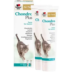 Doppelherz für Tiere Chondro Plus 2X100 g Paste