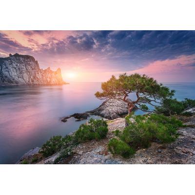 Fototapete PAPERMOON "Baum am Wasser", bunt, B:4,5m L:2,8m, Vlies, Tapeten