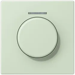 Jung Abdeckung mit Lichtleiter LC 1940 KO5 218